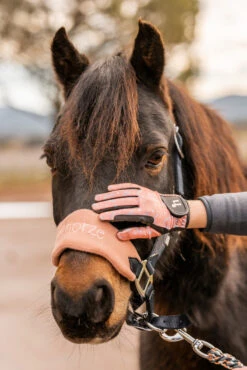 Horze Rainbow Kinder Sommerreithandschuhe -Reitbekleidung Verkaufsgeschäft 31743 333 07