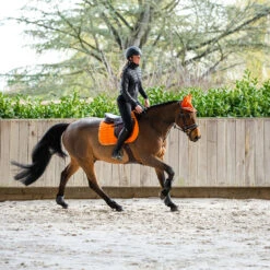 Horze Annika Damen Hybrid Anorak -Reitbekleidung Verkaufsgeschäft 33500 BL 6