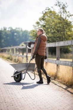 Horze Anne Gefütterte Damen Reitweste -Reitbekleidung Verkaufsgeschäft 33627 CFBR 8