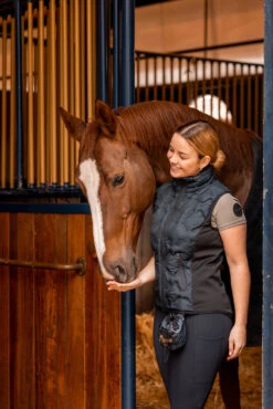 Horze Shelly Gefütterte Damen Reitweste 28 Horze Shelly Gefütterte Damen Reitweste -Reitbekleidung Verkaufsgeschäft 33665 590 07