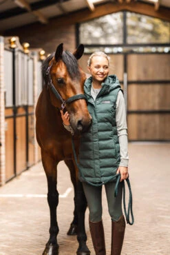 B Vertigo Celeste Wasserdichte Weste -Reitbekleidung Verkaufsgeschäft 33693 681 08