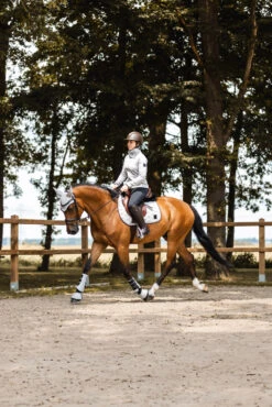 Horze Aria Damen Fleece Reitjacke -Reitbekleidung Verkaufsgeschäft 33775 024 12