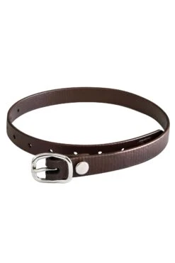 Sprenger Biothane Sporenriemen -Reitbekleidung Verkaufsgeschäft 341299 BR 1