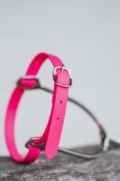 Sprenger Biothane Sporenriemen -Reitbekleidung Verkaufsgeschäft 341299 PI 2