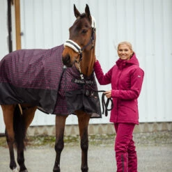 B Vertigo Dana Winterreithose Für Damen -Reitbekleidung Verkaufsgeschäft 36058 BTRE 6