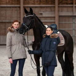 B Vertigo Tiffany Damen Winterreithose Mit Vollbesatz Und Silikon Grip 35 B Vertigo Tiffany Damen Winterreithose Mit Vollbesatz Und Silikon Grip -Reitbekleidung Verkaufsgeschäft 36494 VDB 7