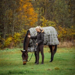 Horze Sienna Damen Reithose Mit Vollbesatz Und Silikon Grip -Reitbekleidung Verkaufsgeschäft 36660 BRBR 5