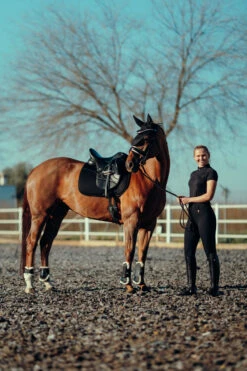 Horze Mila Vollbesatzreithose Für Damen Mit Hohem Bund -Reitbekleidung Verkaufsgeschäft 36698 BL 8