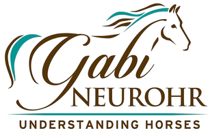 Reitbekleidung Verkaufsgeschäft